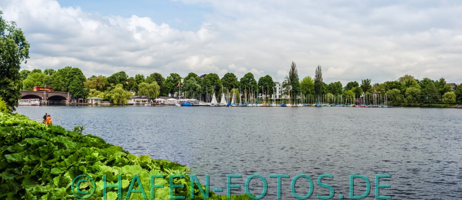 Preview Alster_Panorama220130604.jpg